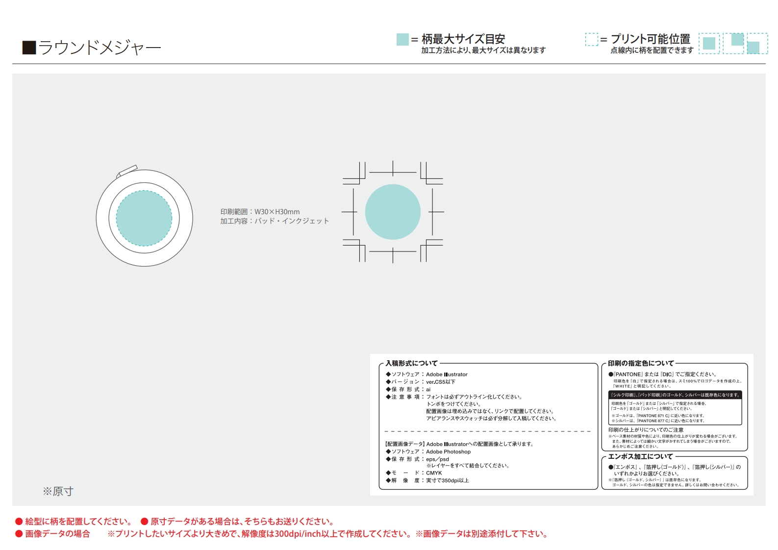 10 Cm ものさし 実寸